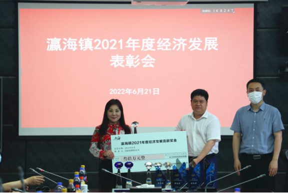 助力經(jīng)濟(jì)發(fā)展，美巢集團(tuán)股份公司獲瀛海鎮(zhèn)經(jīng)濟(jì)發(fā)展三項(xiàng)大獎(jiǎng)