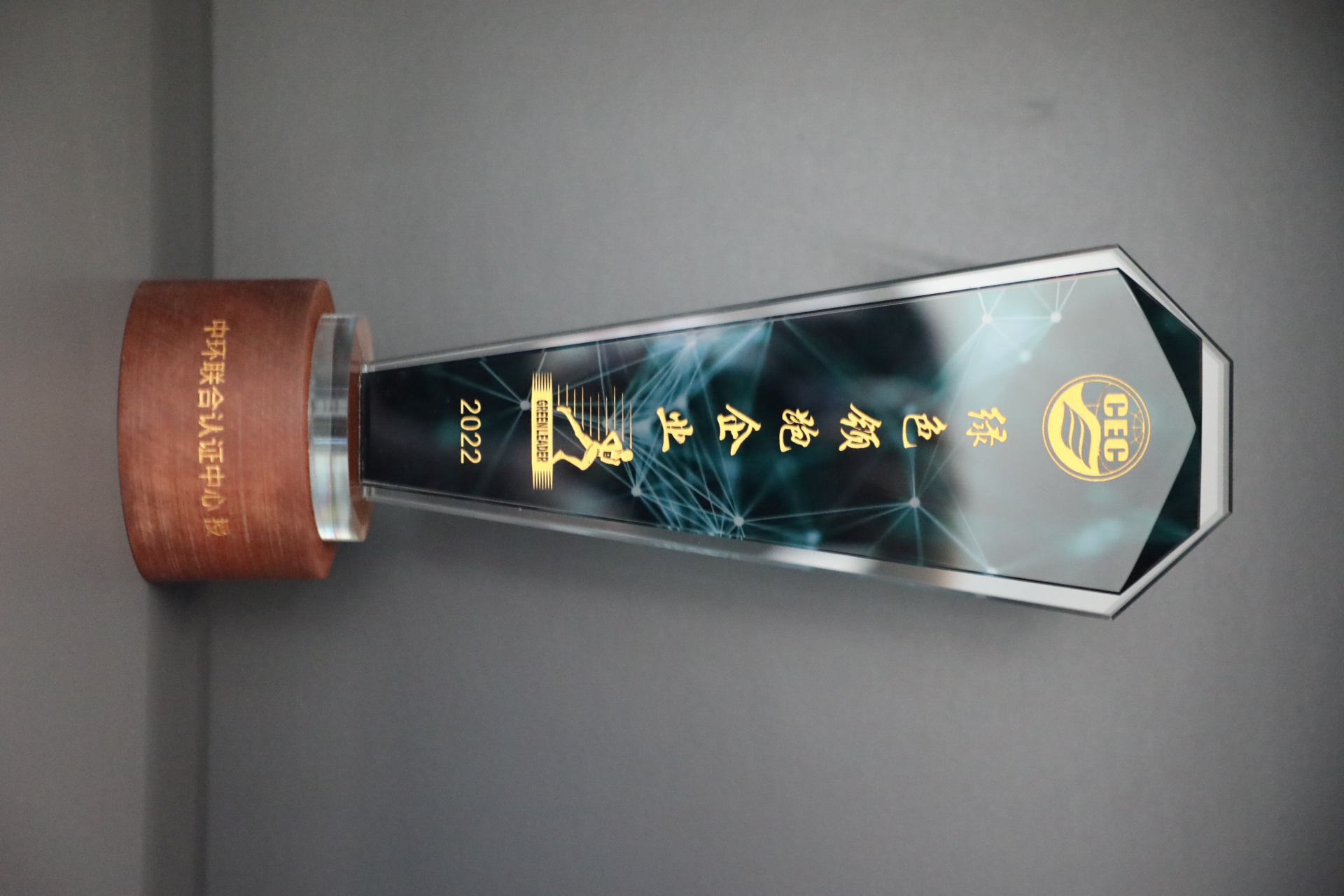 美巢深耕家裝環(huán)保輔料賽道，榮獲“綠色領(lǐng)跑企業(yè)”稱(chēng)號(hào)